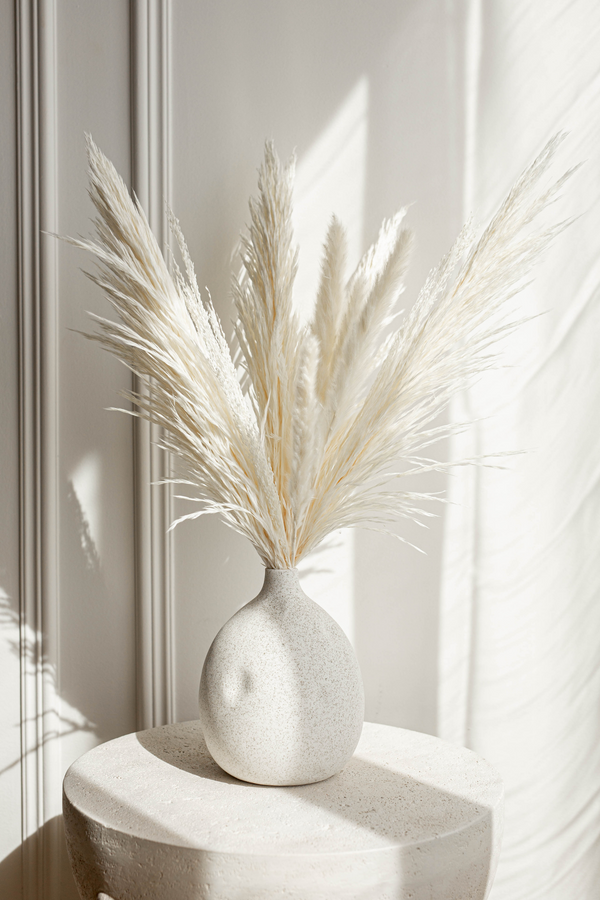 Maui Mother's Day Arrangement White Gift Wrapped - United States , dried flowers and pampas grass American Company. Bulk and wholesale dried flowers and pampas grass fluffy. Large White Pampas Grass 