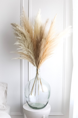 Luxe B Natural Promo Pack - LUXE B Pampas Grass California