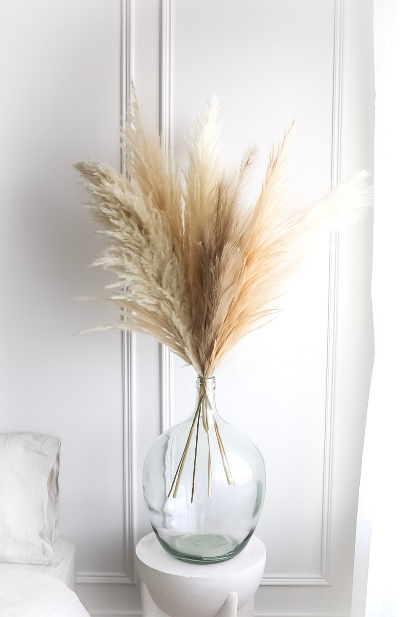 Luxe B Natural Promo Pack - LUXE B Pampas Grass California