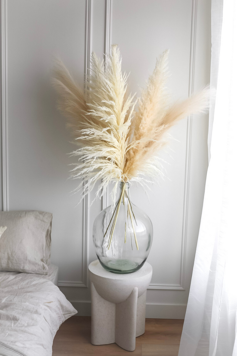 Luxe B Promo Pampas Pack - LUXE B Pampas Grass California