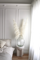 Type 8 "New Bud " Bleached White PAMPAS GRASS - LUXE B Pampas Grass California
