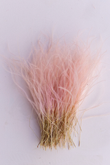 Pink Feather Grass - LUXE B PAMPAS GRASS (5499452948646)