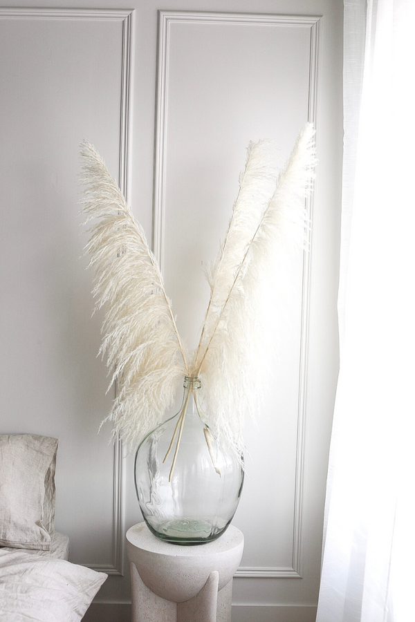 Type 8 "New Bud " Bleached White PAMPAS GRASS - LUXE B Pampas Grass California