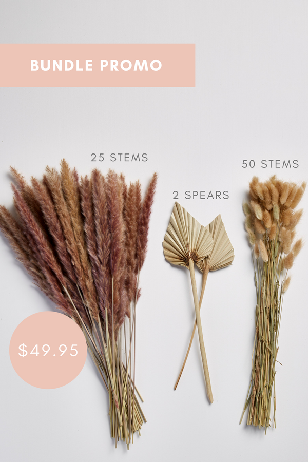 Luxe B Promo Pampas Grass Bunnytails Bundle Natural + Palm Leave Spears - United States , dried flowers and pampas grass American Company. Bulk and wholesale dried flowers and pampas grass fluffy. Large White Pampas Grass Afloral 