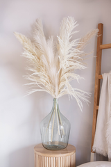 Luxe B Promo Pampas Pack - LUXE B Pampas Grass