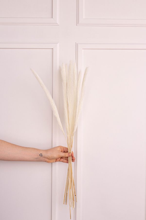 Preserved Monkey Tails - White - LUXE B Pampas Grass California