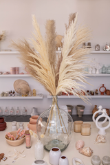Luxe B Natural Promo Pack - United States , dried flowers and pampas grass American Company. Bulk and wholesale dried flowers and pampas grass fluffy. Large White Pampas Grass Afloral 
