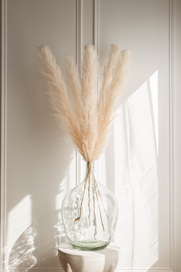 NEW PAMPAS GRASS - Type 1 Faint Pink - United States , dried flowers and pampas grass American Company. Bulk and wholesale dried flowers and pampas grass fluffy. Large White Pampas Grass 