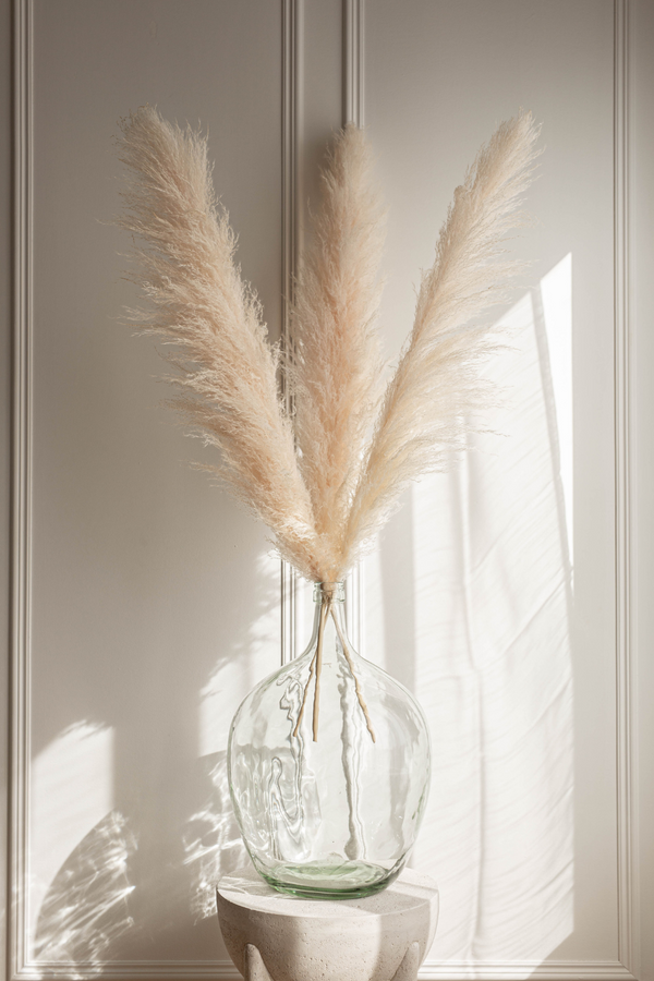 NEW PAMPAS GRASS - Type 1 Faint Pink - United States , dried flowers and pampas grass American Company. Bulk and wholesale dried flowers and pampas grass fluffy. Large White Pampas Grass 