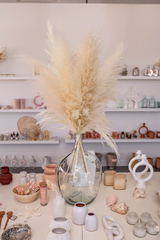 Luxe B Promo Pampas Pack - United States , dried flowers and pampas grass American Company. Bulk and wholesale dried flowers and pampas grass fluffy. Large White Pampas Grass Afloral 