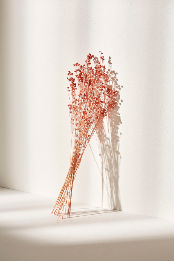 Flax Rin Flower- Silky Pink - Luxe B Pampas Grass Canada   (6606112260262)