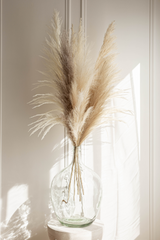 Luxe B Natural Promo Pack - United States , dried flowers and pampas grass American Company. Bulk and wholesale dried flowers and pampas grass fluffy. Large White Pampas Grass 