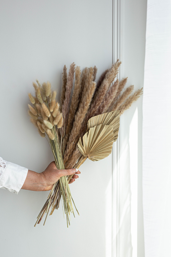 Luxe B Promo Pampas Grass Bunnytails Bundle Natural + Palm Leave Spears - United States , dried flowers and pampas grass American Company. Bulk and wholesale dried flowers and pampas grass fluffy. Large White Pampas Grass 