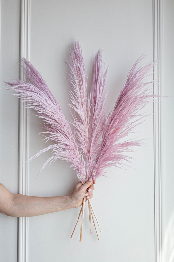 Type 10 Silky Preserved Pampas- Magenta 5 Stems - United States , dried flowers and pampas grass American Company. Bulk and wholesale dried flowers and pampas grass fluffy. Large White Pampas Grass 