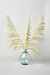 New Limited Edition Type 8 "New Bud " Bleached White PAMPAS GRASS - LUXE B Pampas Grass (5714135875750)