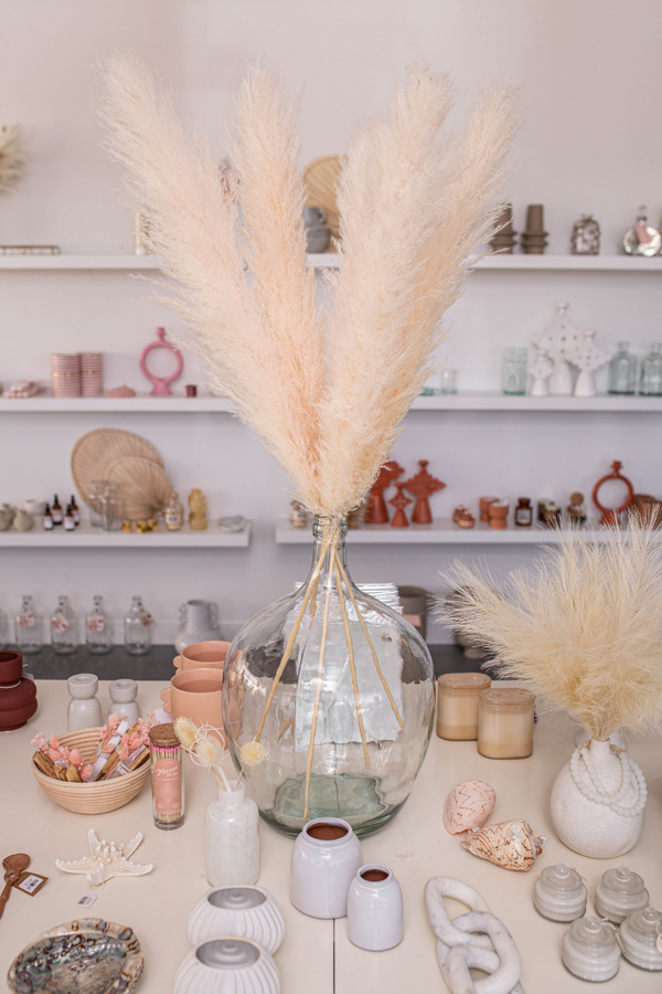 Pampas grass size large colour faint pink type 1- 5 stems - United States , dried flowers and pampas grass American Company. Bulk and wholesale dried flowers and pampas grass fluffy. Large White Pampas Grass 