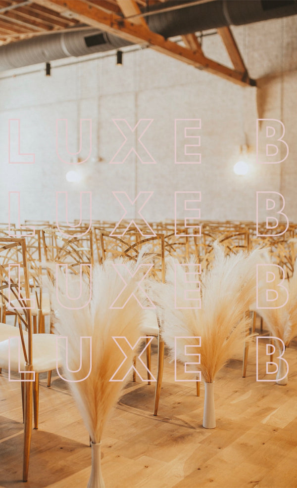 Luxe B "Faux" Artificial Fake Pampas Grass Cream Wedding Bundle - LUXE B PAMPAS GRASS (5921337114790)