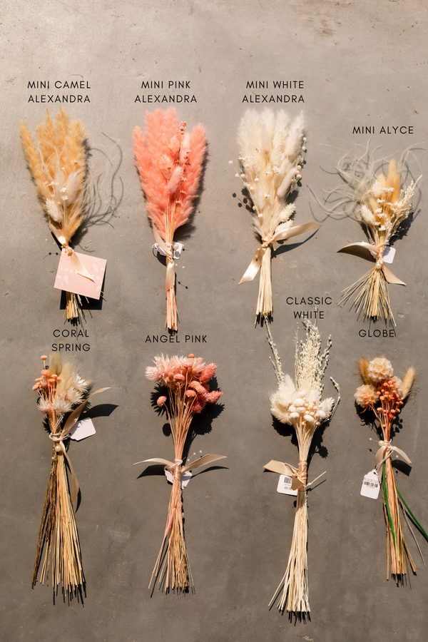 U Pick 2 Mini Dried Bundles - LUXE B Pampas Grass (6953996189862)